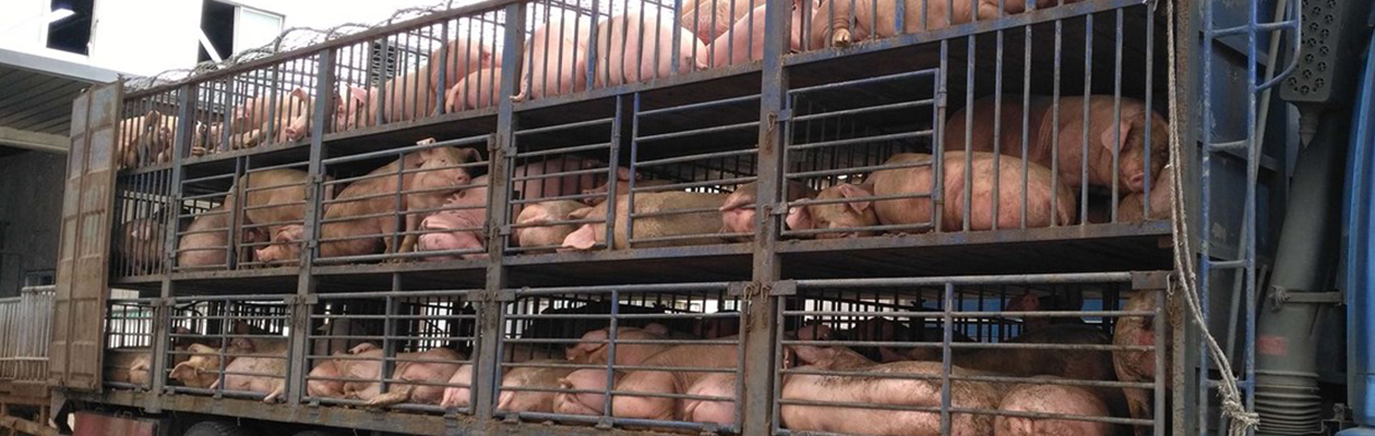 1a01cbecc7545a1ef8f6ad65c49108e8.jpg 1a01cbecc7545a1ef8f6ad65c49108e8.jpg