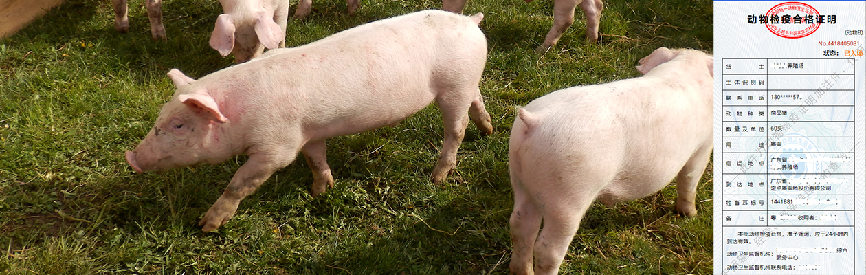 644b075055d279ce48f870800b40c230.jpg 644b075055d279ce48f870800b40c230.jpg