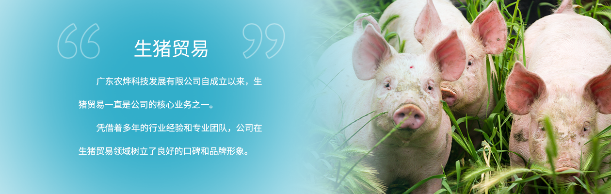 241a7b838d5584eea88a69ed699b4318.png 241a7b838d5584eea88a69ed699b4318.png